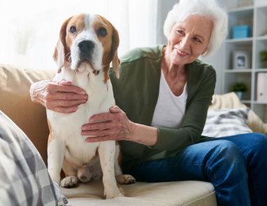 Training Therapy Dogs: Can Your Pup Help People?