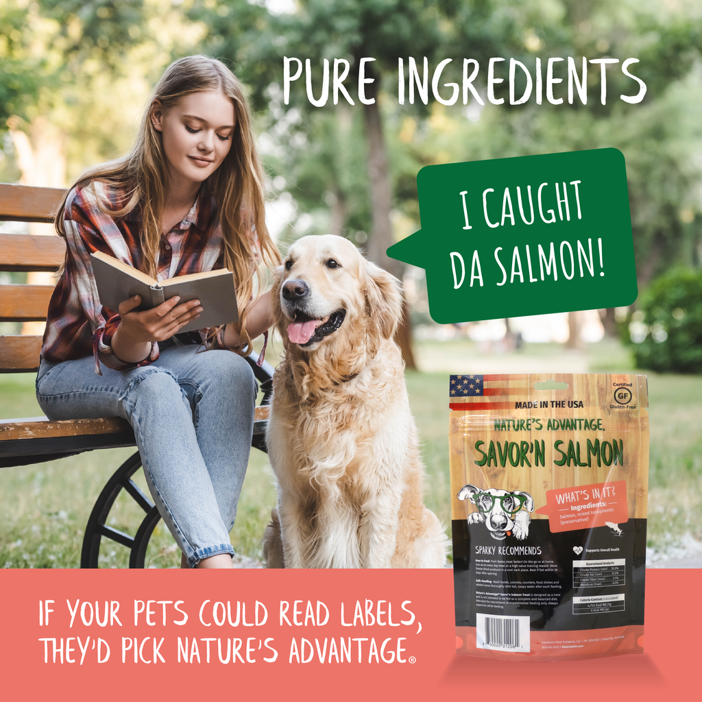Salmon Dog Treats, freeze dried salmon dog treats - pure ingredients